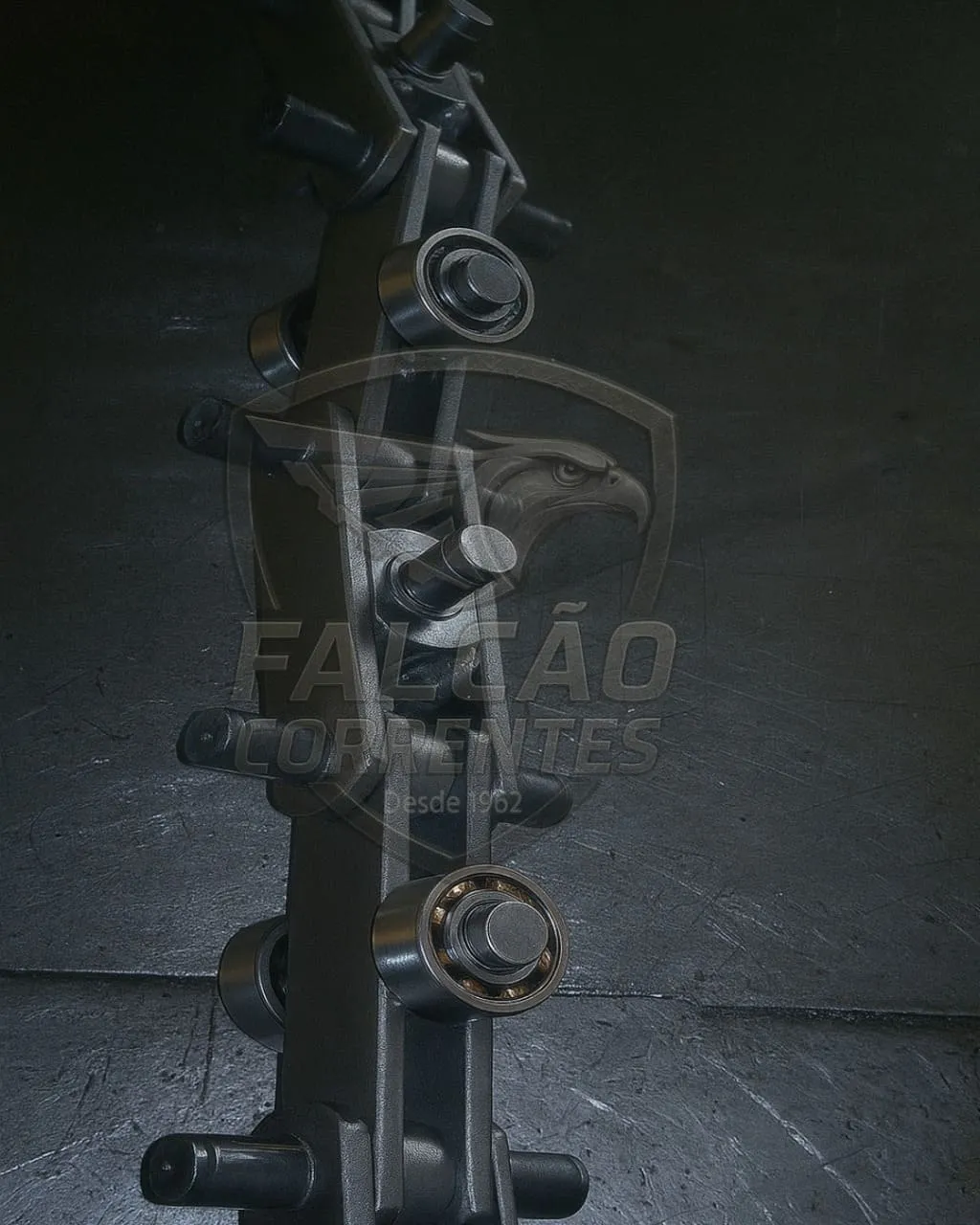 Imagem da galeria